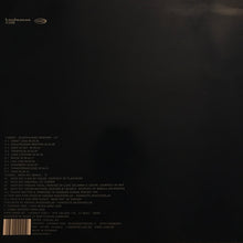 Load image into Gallery viewer, Turner : Disappearing Brother (LP, Album + 12", Single)
