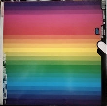 Load image into Gallery viewer, Mr Velcro Fastener* : Lucky Bastards Living Up North (2x12", Album)
