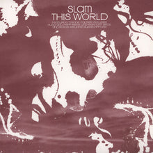 Load image into Gallery viewer, Slam : This World (Remixes) (12", Pic)
