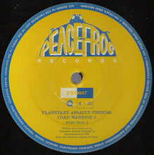 Load image into Gallery viewer, Planetary Assault Systems : Coad Warrior 3 (12")
