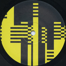 Load image into Gallery viewer, Jim Masters &amp; Phil Barry Present String Theory (2) : Swarm (12")
