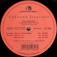 Load image into Gallery viewer, Unknown Structure : Music For The Brain (Remix) (12")
