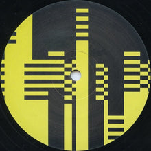 Load image into Gallery viewer, Jim Masters &amp; Phil Barry Present String Theory (2) : Swarm (12", S/Sided)
