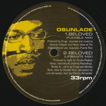 Load image into Gallery viewer, Osunlade : Beloved (Remixes) (12")
