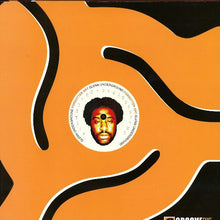 Load image into Gallery viewer, Glenn Underground : Robots &amp; Bumblebees (A Tribute To Patrick Adams) (12")
