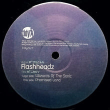 Load image into Gallery viewer, Flashheadz : Wizards Of The Sonic / Promised Land (12")
