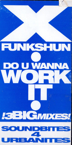 DJ Alan X* Presents X-Funkshun : Do U Wanna Work It (12