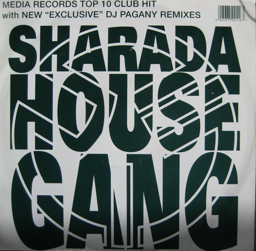 Sharada House Gang : Dancing Through The Night (12