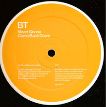 Load image into Gallery viewer, BT : Never Gonna Come Back Down (12&quot;)
