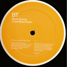 Load image into Gallery viewer, BT : Never Gonna Come Back Down (12&quot;)
