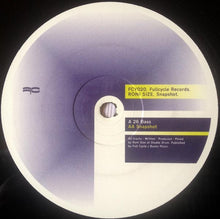Load image into Gallery viewer, Roni Size : 26 Bass / Snapshot (12")
