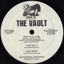 Load image into Gallery viewer, Various : The Vault (12&quot;)
