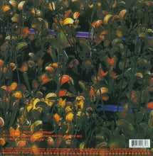 Load image into Gallery viewer, Michael Mayer : Lovefood (12")
