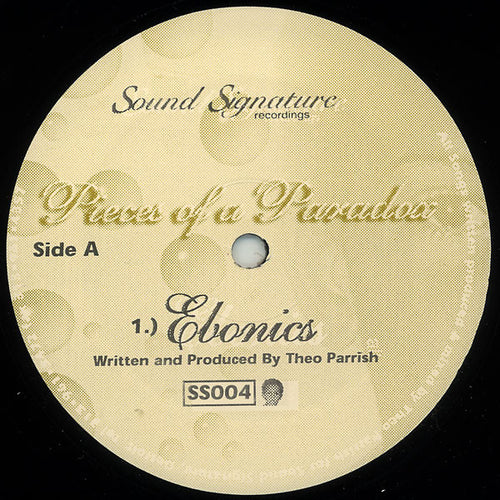 Theo Parrish : Pieces Of A Paradox (12