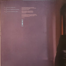 Load image into Gallery viewer, Fritz Kalkbrenner : Little By Little (12")
