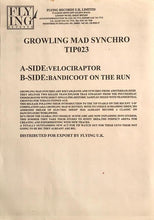 Load image into Gallery viewer, Growling Mad Synchro : Velociraptor / Bandicoot On The Run (12", W/Lbl)
