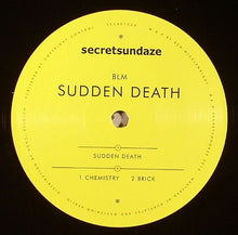 Load image into Gallery viewer, BLM : Sudden Death (12")
