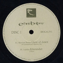 Load image into Gallery viewer, Various : Ethnobotany (2xLP, Comp)
