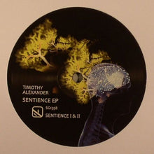 Load image into Gallery viewer, Timothy Alexander : Sentience (12")
