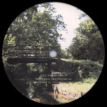 Load image into Gallery viewer, AFX* : Analord 08 (12")
