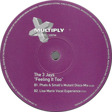 Load image into Gallery viewer, The 3 Jays : Feeling It Too (12&quot;)
