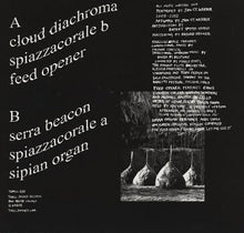 Load image into Gallery viewer, Jan St. Werner : Blaze Colour Burn (LP, Album)
