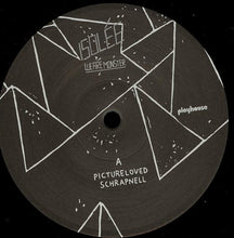 Load image into Gallery viewer, Isolée : We Are Monster (3x12", Album)

