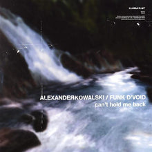 Load image into Gallery viewer, Alexander Kowalski : Can't Hold Me Back (12")
