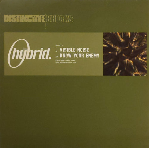 Hybrid : Visible Noise / Know Your Enemy (12