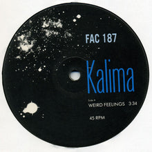 Load image into Gallery viewer, Kalima : Weird Feelings (12", Single)
