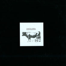 Load image into Gallery viewer, Marcos Cabral : False Memories (2x12&quot;, Album)
