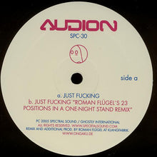 Load image into Gallery viewer, Audion : Just Fucking (12")

