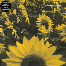 Load image into Gallery viewer, James Holden : One For You (12")
