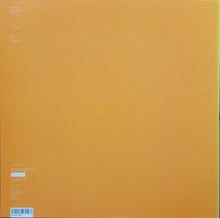 Load image into Gallery viewer, Pendle Coven : £100 A Metre EP (12", EP)
