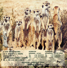 Load image into Gallery viewer, Nikolai : Nikolai E.P. (12", EP)
