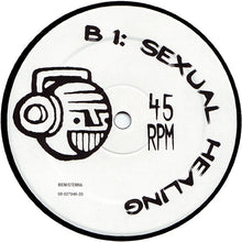 Load image into Gallery viewer, Luvspunge : Didn't I Give You ♥ (12")
