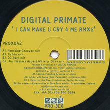 Load image into Gallery viewer, Digital Primate : I Can Make You Cry 4 Me (Remixes) (12")
