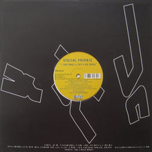 Load image into Gallery viewer, Digital Primate : I Can Make You Cry 4 Me (Remixes) (12")
