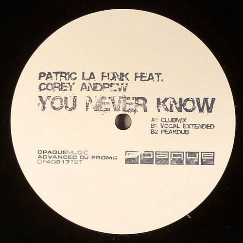 Patric La Funk Feat. Corey Andrew : You Never Know (12