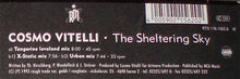 Load image into Gallery viewer, Cosmo Vitelli (2) : The Sheltering Sky (12")
