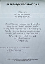 Load image into Gallery viewer, Joel Mull : The Mole Remixes E.P. (12", EP)
