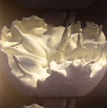 Load image into Gallery viewer, Rose Kallal &amp; Mark O Pilkington* : Implicate Explicate (12&quot;, EP)
