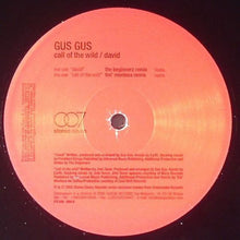 Load image into Gallery viewer, Gus Gus* : Call Of The Wild / David (12&quot;)
