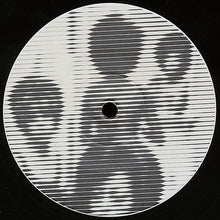 Load image into Gallery viewer, Supreme Truth : The Supreme Truth (12")
