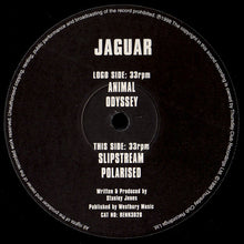 Load image into Gallery viewer, Jaguar (3) : Jaguar (12")
