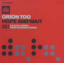 Load image into Gallery viewer, Orion Too : Hope And Wait (12")
