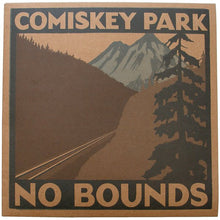 Load image into Gallery viewer, Comiskey Park : No Bounds (12")
