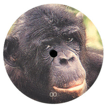 Load image into Gallery viewer, Ominus : Ominus (2xLP, Album)
