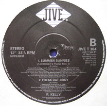 Load image into Gallery viewer, R. Kelly : She&#39;s Got That Vibe (12&quot;, Single)
