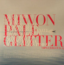 Load image into Gallery viewer, Miwon : Pale Glitter (LP, Album)
